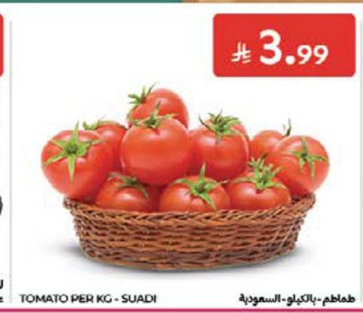 طماطم - بالكيلو، السعودية