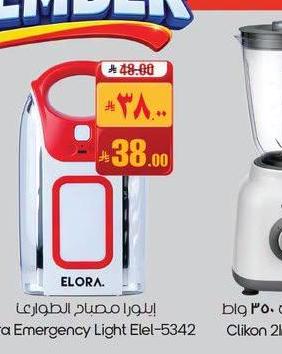 إيلورا مصباح الطوارئ