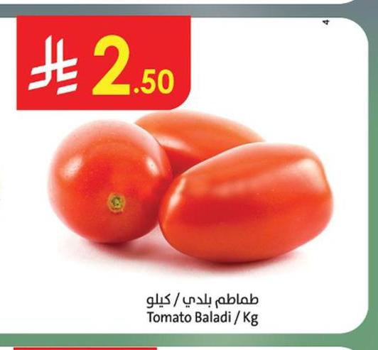 طماطم بلدي / كيلو