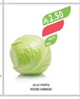 ملفوف مدوار
