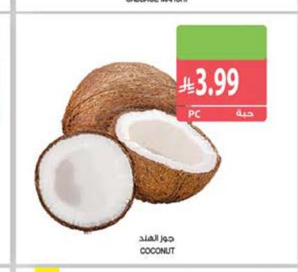جوز الهند