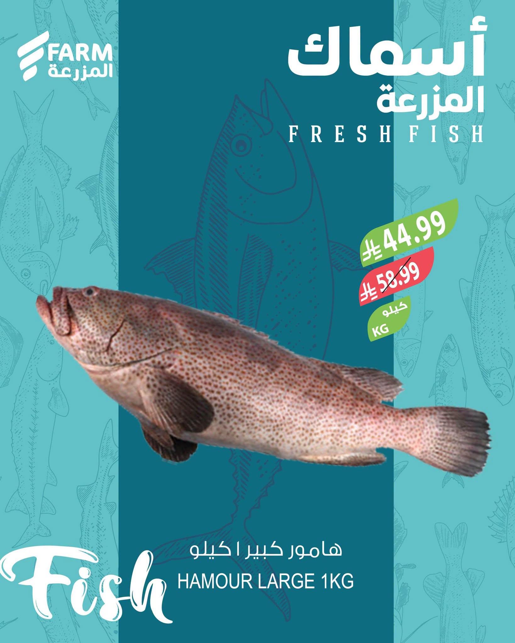 عروض المزرعة اليوم صفحة 2