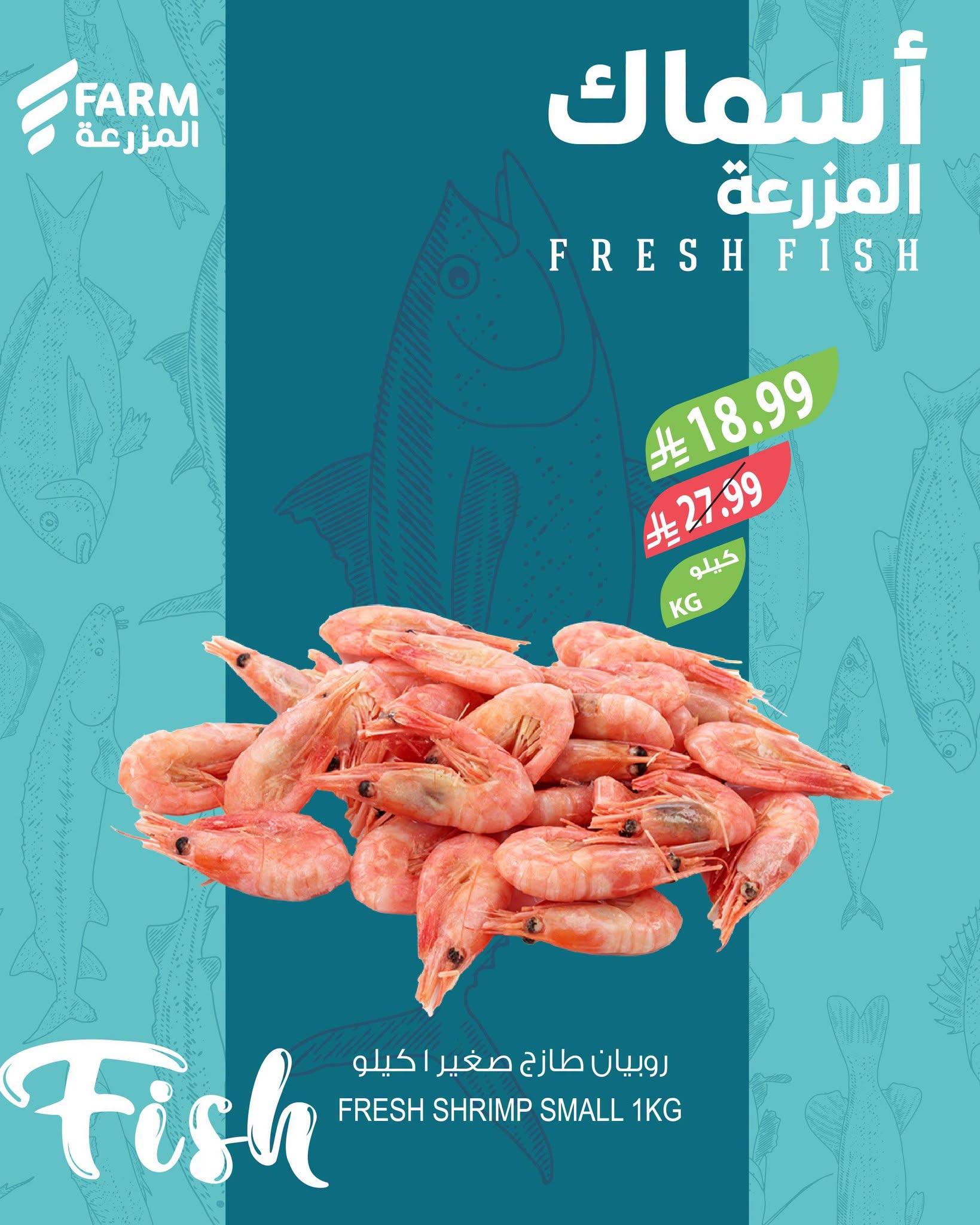 عروض المزرعة اليوم صفحة 4