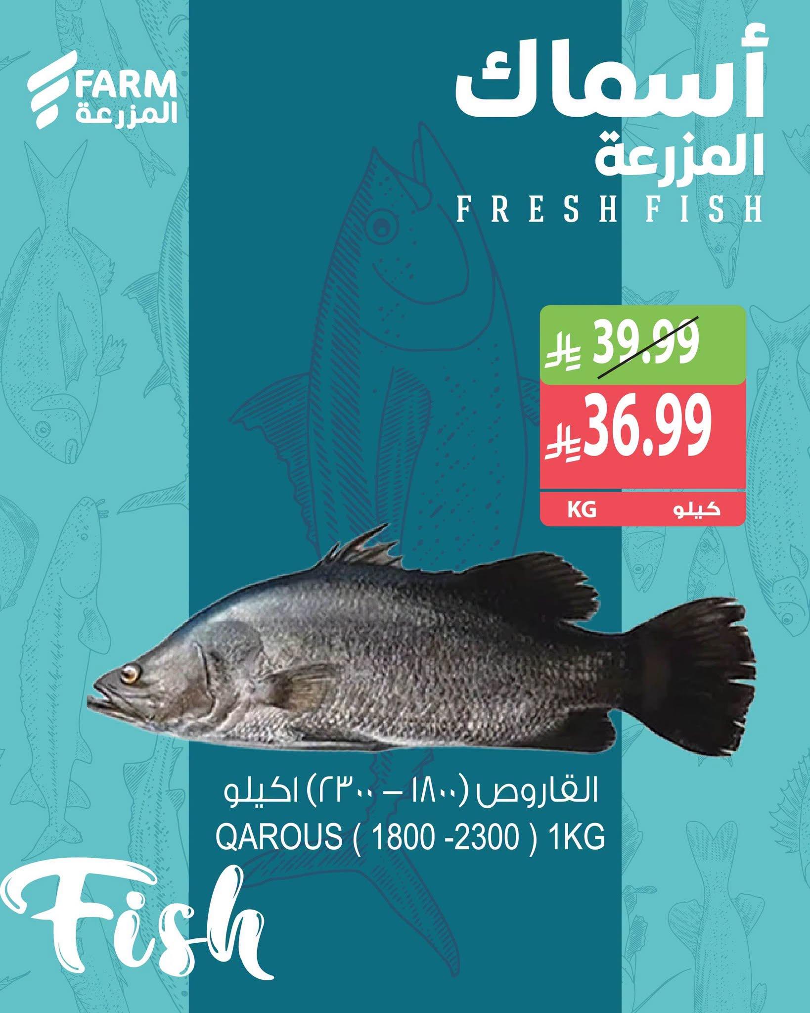 عروض المزرعة اليوم صفحة 2