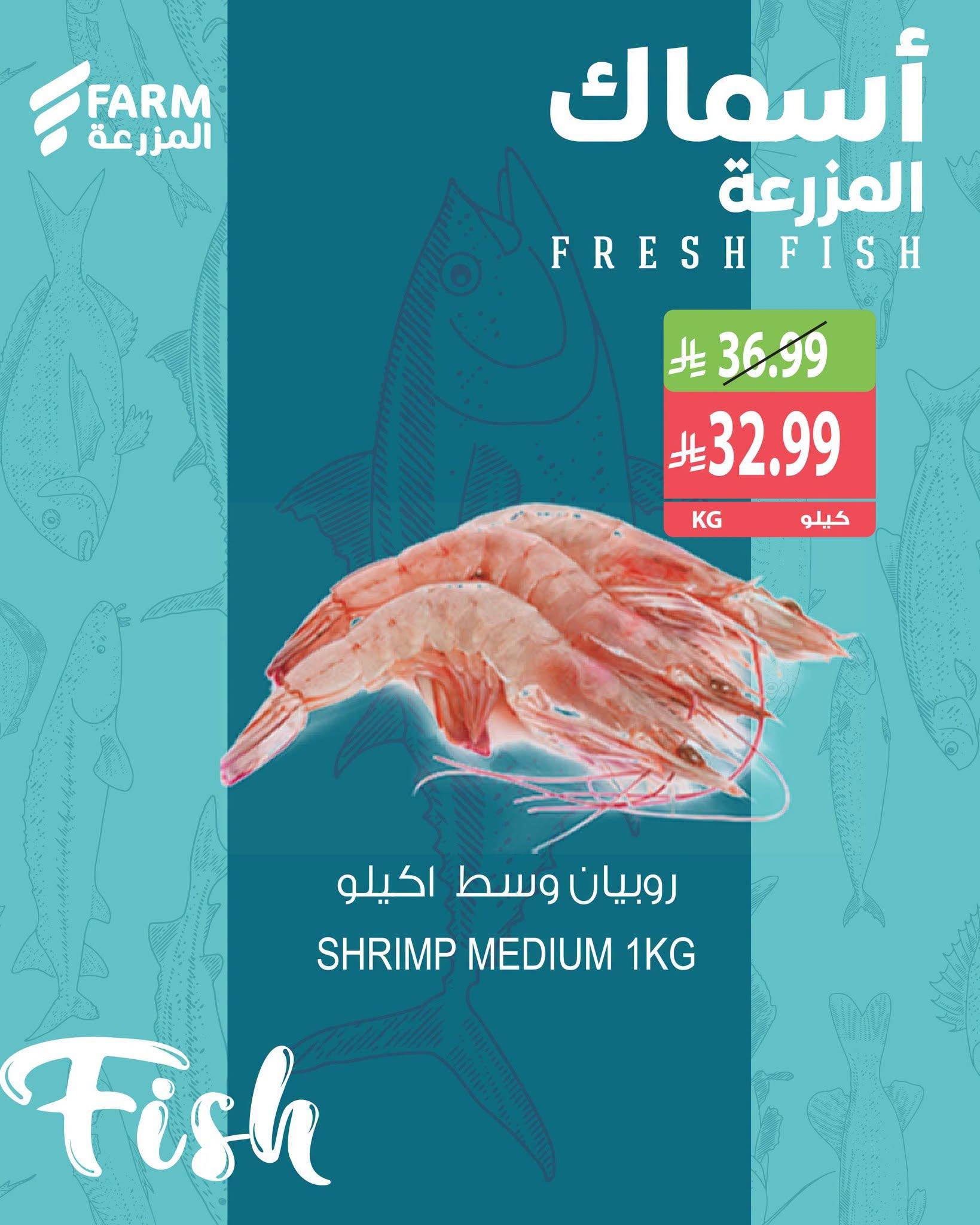 عروض المزرعة اليوم صفحة 2