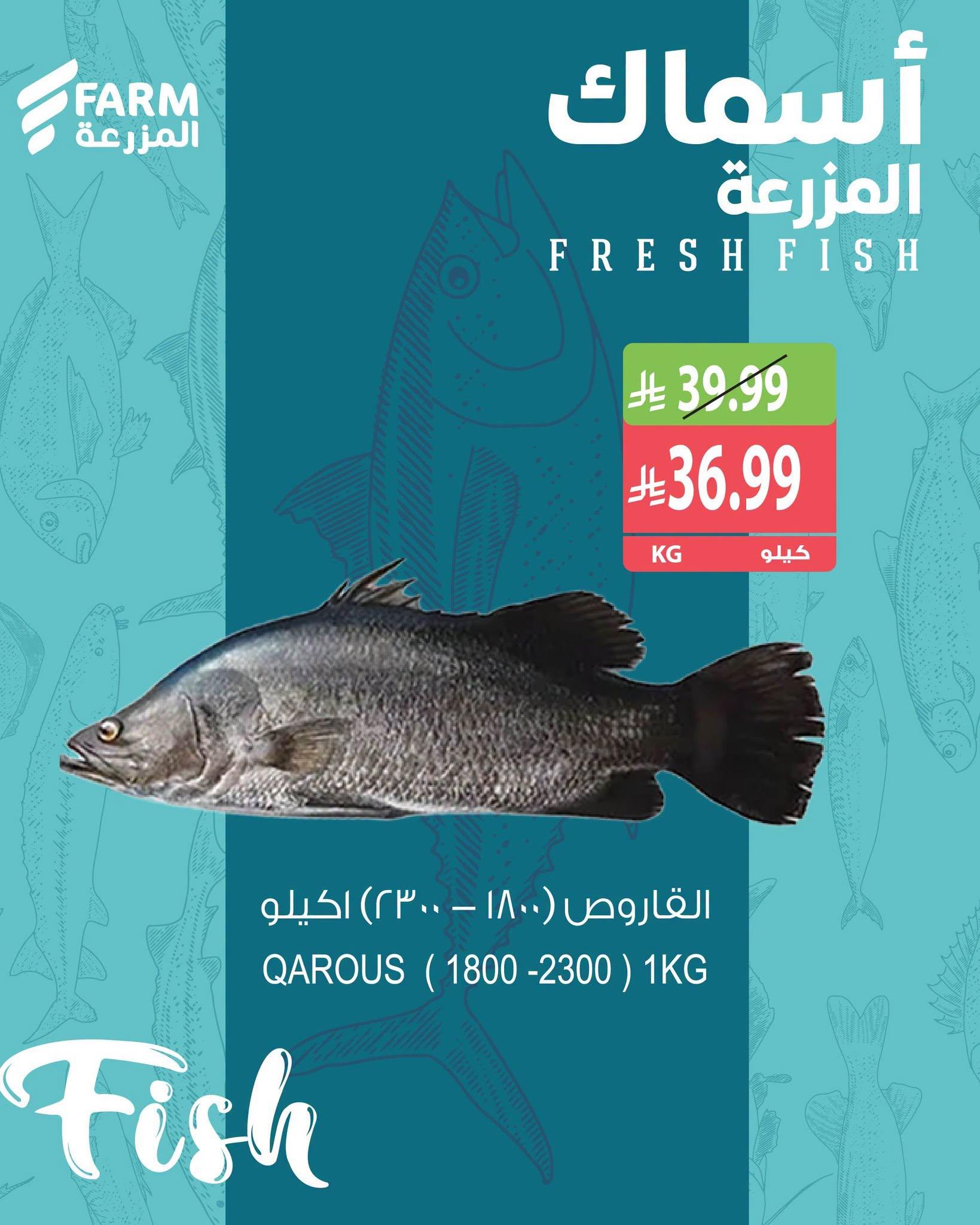 عروض المزرعة اليوم صفحة 6