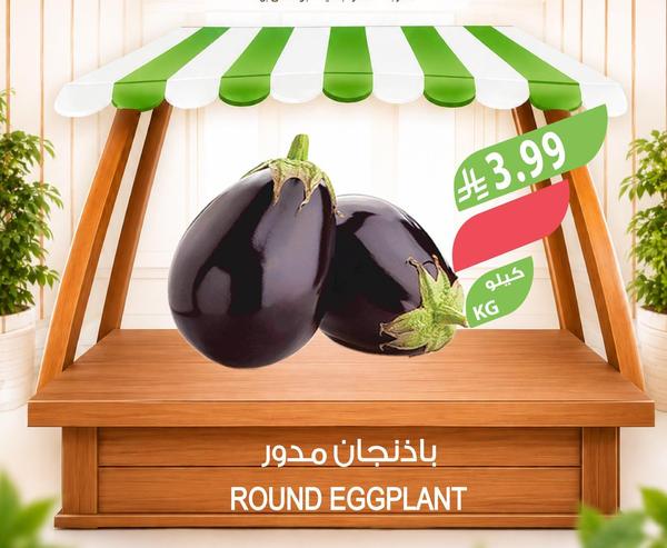 باذنجان مدور