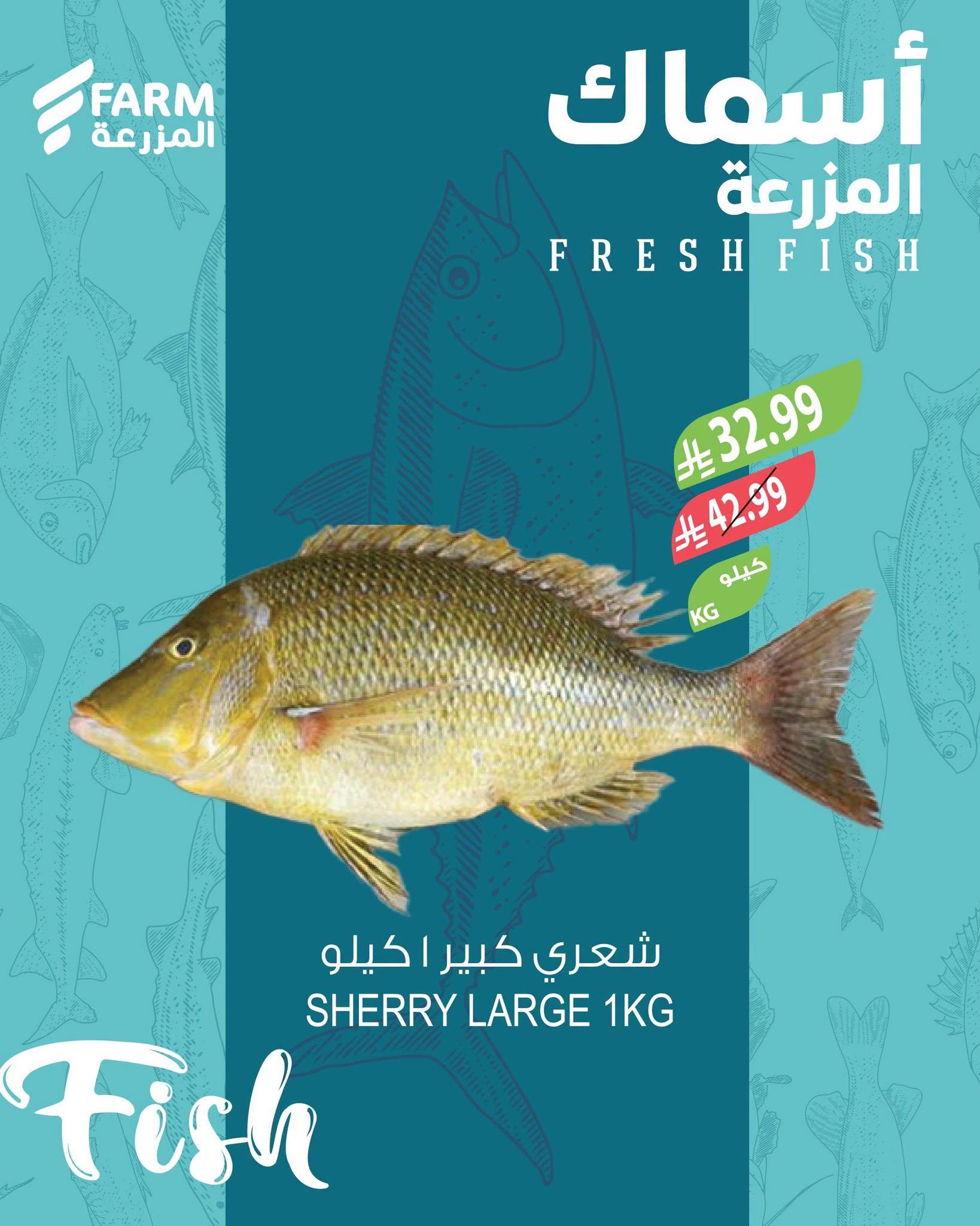 عروض المزرعة اليوم صفحة 2