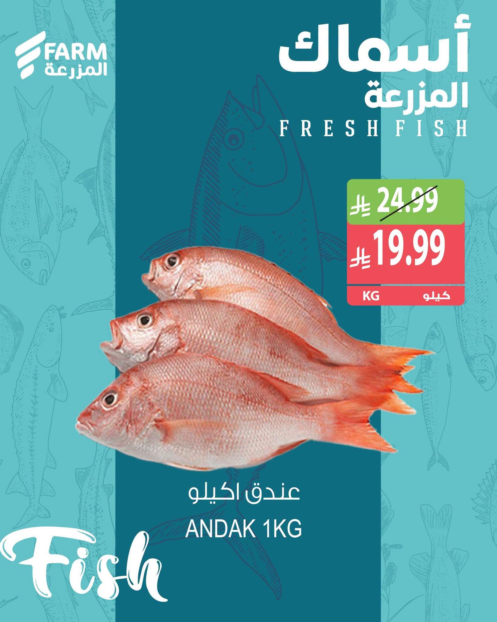 عروض المزرعة اليوم صفحة 2