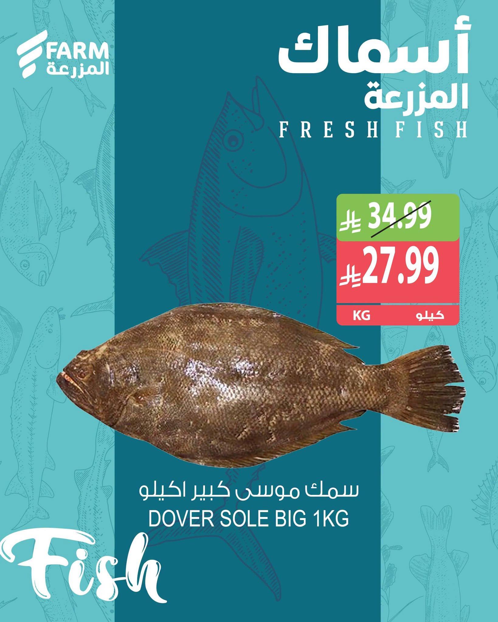 عروض المزرعة اليوم صفحة 4