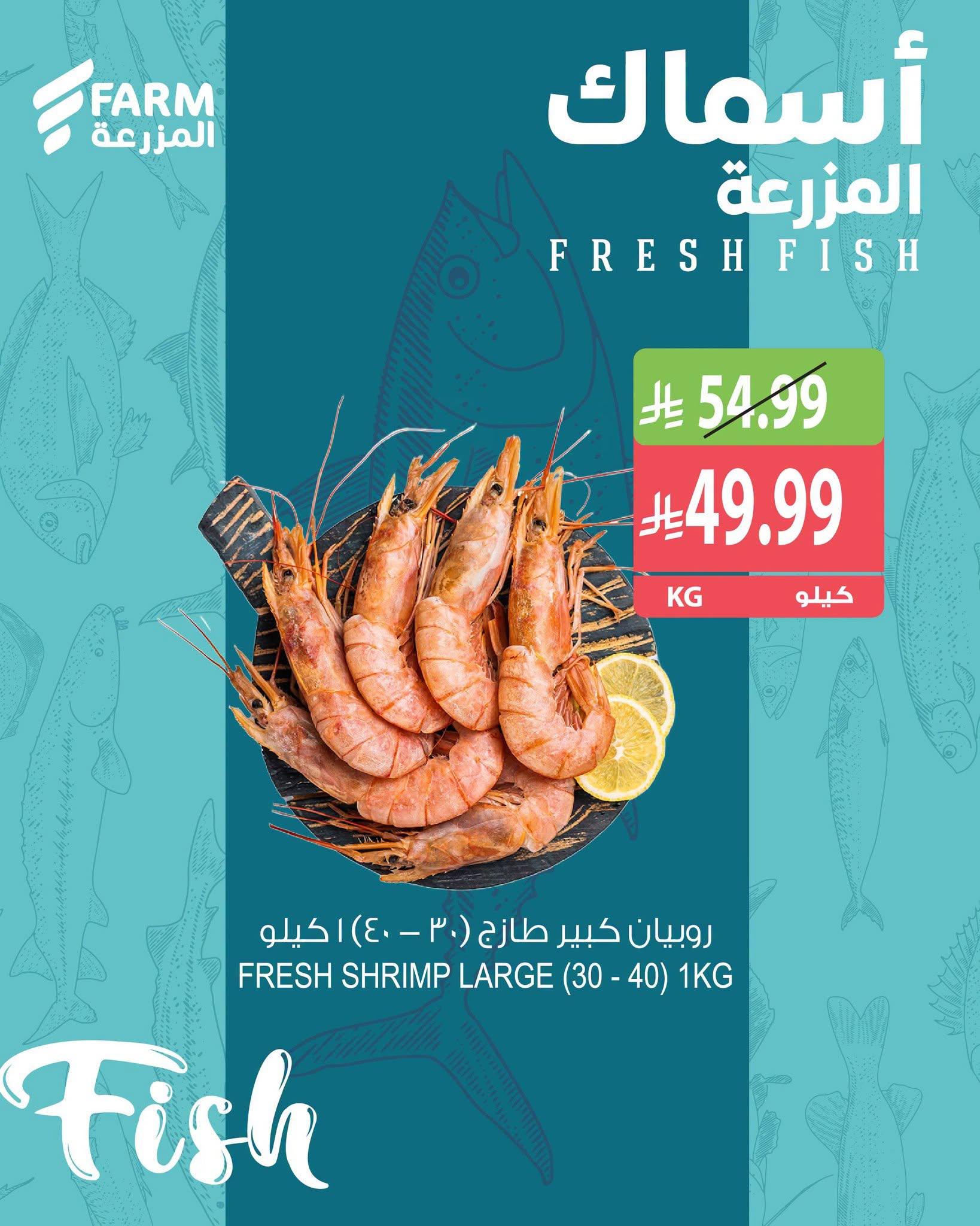 عروض المزرعة اليوم صفحة 4