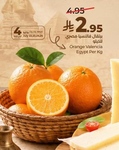 برتقال فالنسيا مصري للكيلو