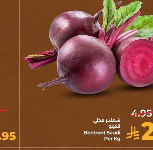 شمندر محلي