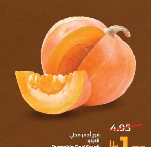 قرع أحمر محلي