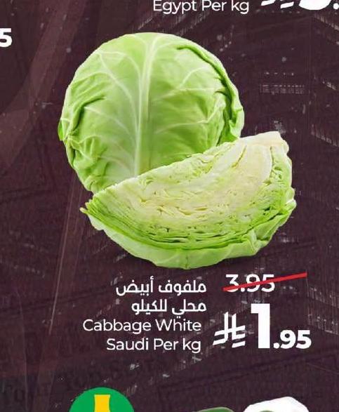 ملفوف أبيض مطلي للكيلو