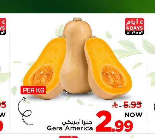 جيرا أمريكي