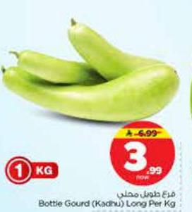 قرع طويل محشى