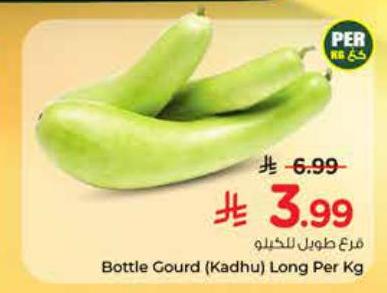 فرع طويل للكيلو
