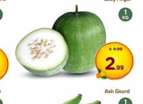 Ash Gourd