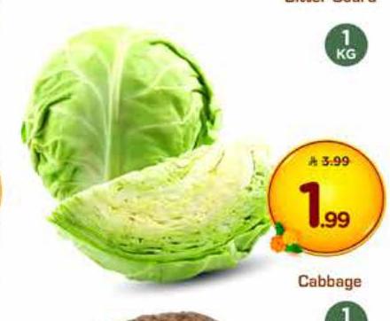 Cabbage