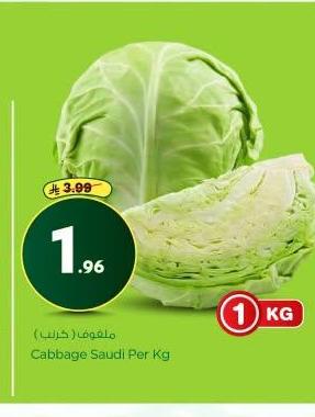 ملفوف ( خريب )