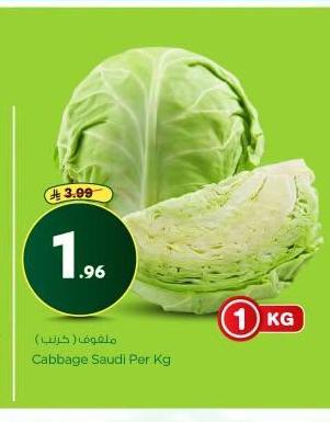 ملفوف (كريب)