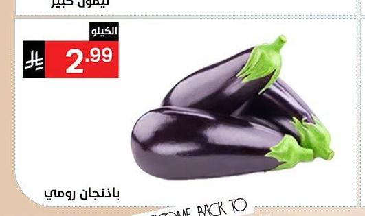 باذنجان رومي