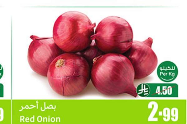 بصل أحمر