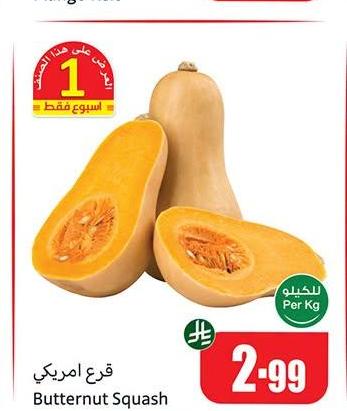 قرع امريكي