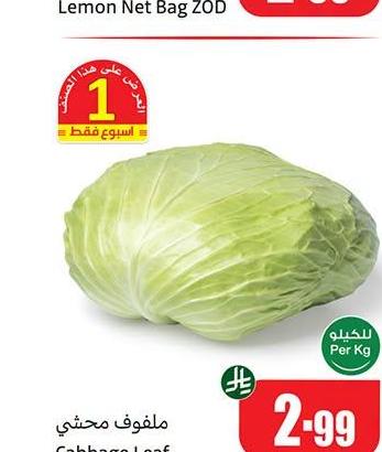 ملفوف محشي