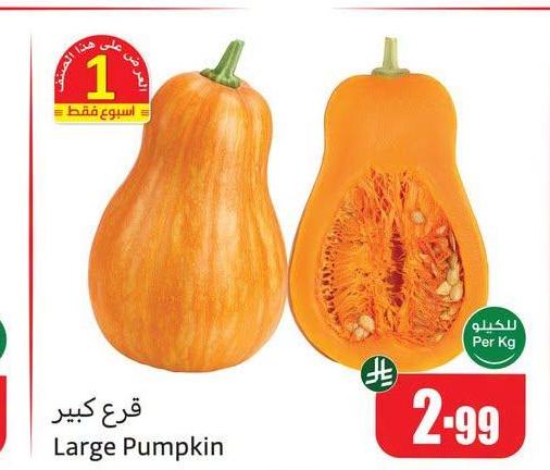 قرع كبير