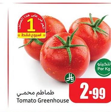طماطم حرجي