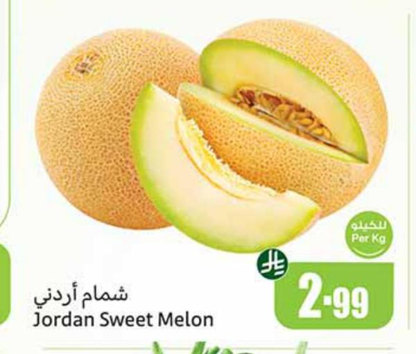 شمام أردني