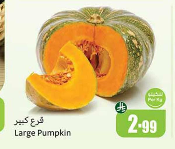 قرع كبير