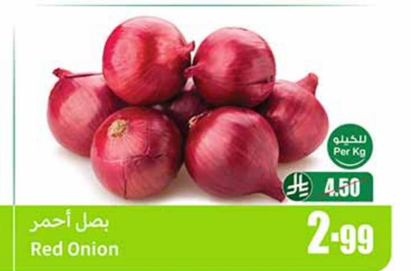 بصل أحمر