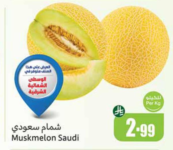 شمام سعودي