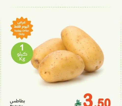 بطاطس
