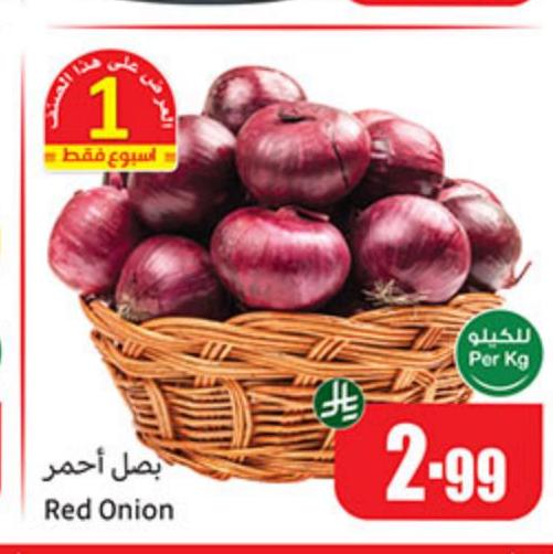 بصل أحمر