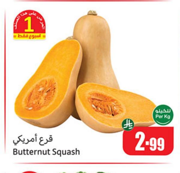 قرع أمريكي