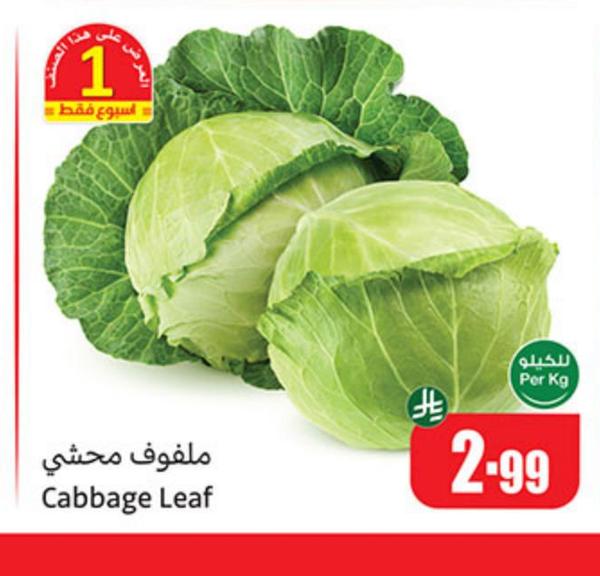 ملفوف محشي