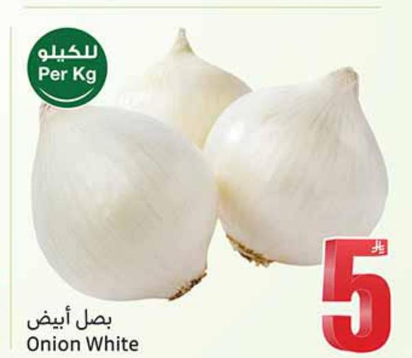 بصل أبيض