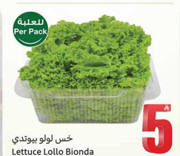خس لولو بيونتي