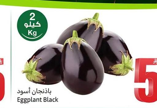 بادنجان أسود