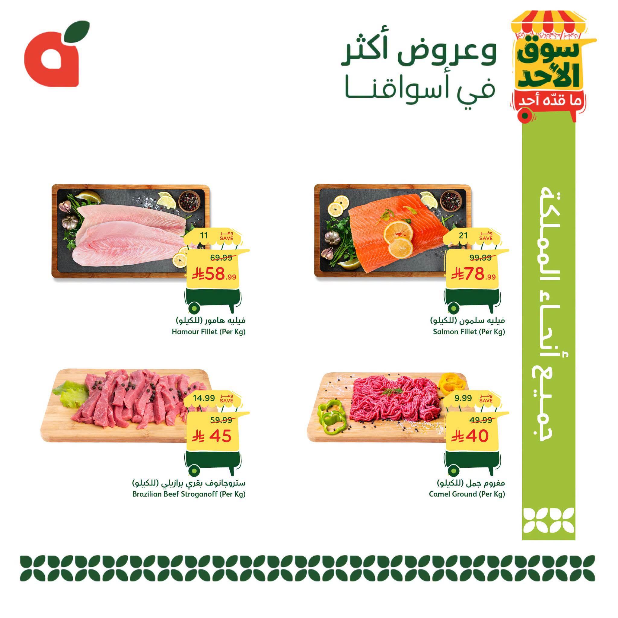كتالوج بنده صفحة 5