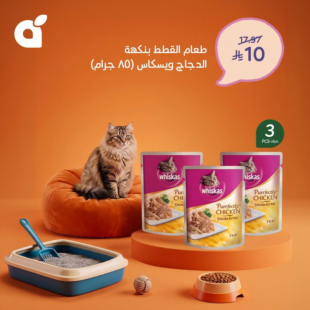 مجلة بندة صفحة 4