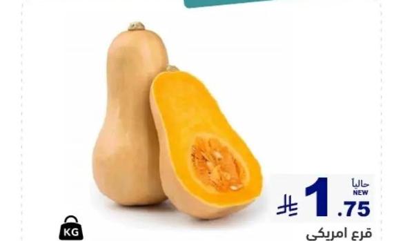 قرع امريكي