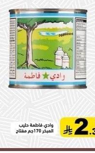 وادي فاطمة حليب العيد 170 جم معطّم