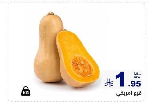 قرع امريكي