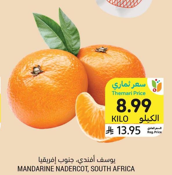 يوسف أفندى، جنوب إفريقيا