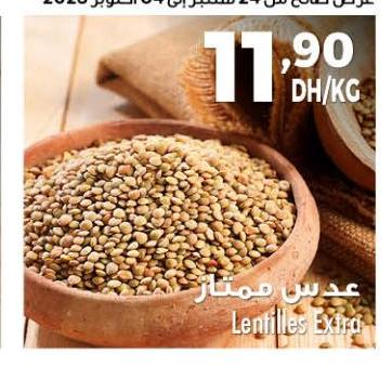 عدس همّتار